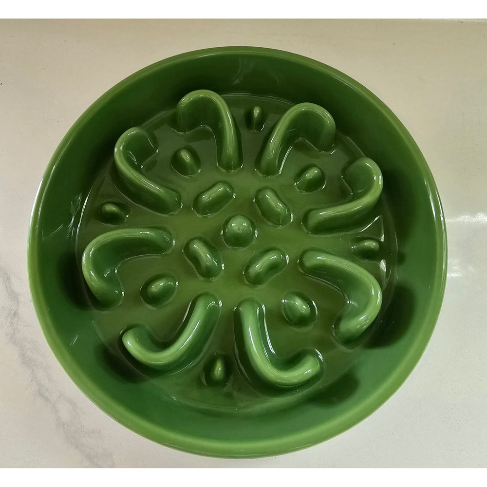 LE TAUCI Ceramic Slow Feeder Dog Bowl Green Maze Puzzle Dish Anti-Gulping Bloat